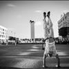 20120810180117_DSC9859.jpg